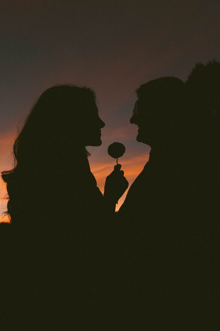 Majid and Mehrnaz in silhouette, facing each other at dusk